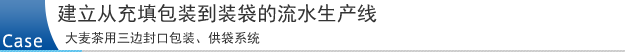 建立从充填包装到装袋的流水生产线